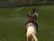 Gra Ertugrul Gazi Symulator Konia w Internecie