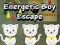 Gra Ucieczka Energetycznego Chłopca w Internecie