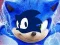 Gra Przygoda Sonic Runners w Internecie