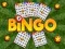 Gra Bingo Odkryte w Internecie
