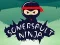 Gra Ninja Salto w Internecie
