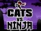 Gra Koty kontra Ninja w Internecie