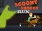 Gra Scooby-Doo i Shaggy: Bieg w Internecie