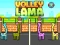 Gra Volley Lama w Internecie