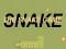 Gra Gra w Węża w Internecie