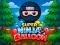 Gra Super Ninja Balloon w Internecie
