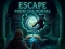 Gra Escape from the Portal w Internecie