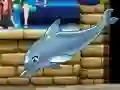 Gra Mój pokaz delfinów 6 w Internecie