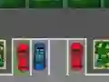Gra Pasja Parkowania w Internecie