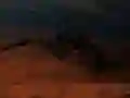 Gra Strzelec obcych owadów w Internecie