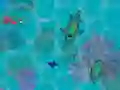 Gra Sharkz.io w Internecie Gra Sharkz.io w Internecie