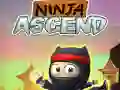Gra Ninja Wznoszenie w Internecie Gra Ninja Wznoszenie w Internecie