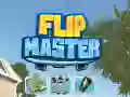 Gra Mistrz Flipu w Internecie Gra Mistrz Flipu w Internecie