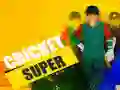 Gra Super Krykiet w Internecie Gra Super Krykiet w Internecie