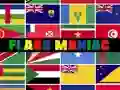 Gra Maniak Flag w Internecie