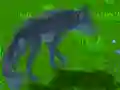Gra Symulator Wilka w Internecie Gra Symulator Wilka w Internecie