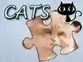 Gra Puzzle: Koty w Internecie