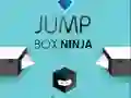 Gra Ninja Skacząca Pudełko w Internecie Gra Ninja Skacząca Pudełko w Internecie