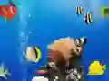 Gra Różnice podwodne w morzu w Internecie