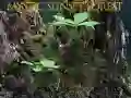 Gra Mistyczny las o zachodzie słońca w Internecie