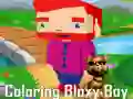 Gra Kolorowanie Bloxy Chłopca w Internecie Gra Kolorowanie Bloxy Chłopca w Internecie