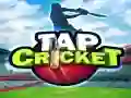 Gra Tap Krykiet w Internecie