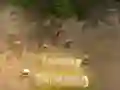 Gra Obrona Wieży w Internecie Gra Obrona Wieży w Internecie