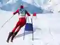 Gra Symulator narciarstwa slalomowego w Internecie Gra Symulator narciarstwa slalomowego w Internecie
