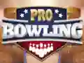 Gra Profesjonalne Bowling w Internecie Gra Profesjonalne Bowling w Internecie