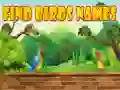 Gra Znajdź nazwy ptaków w Internecie