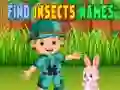 Gra Znajdź nazwy owadów w Internecie Gra Znajdź nazwy owadów w Internecie