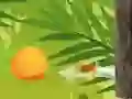 Gra Tropikalny Rzeźnik w Internecie Gra Tropikalny Rzeźnik w Internecie