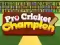 Gra Mistrz Pro w Krykiecie w Internecie