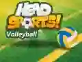 Gra Siatkówka Head Sports w Internecie