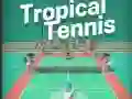 Gra Tropikalny Tenis w Internecie