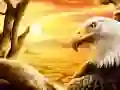 Gra Orzeł w Internecie Gra Orzeł w Internecie