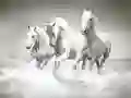 Gra Puzzle z końmi w Internecie Gra Puzzle z końmi w Internecie