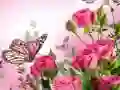 Gra Puzzle z Motylami w Internecie Gra Puzzle z Motylami w Internecie