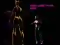 Gra Pani Jaszczurka vs Koty w Internecie Gra Pani Jaszczurka vs Koty w Internecie