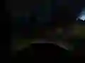 Gra Horrorowa Jazda po Dżungli w Internecie Gra Horrorowa Jazda po Dżungli w Internecie