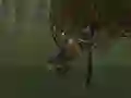 Gra Jazda na rowerze górskim w Internecie Gra Jazda na rowerze górskim w Internecie