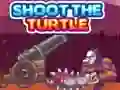 Gra Strzał w żółwia w Internecie