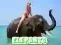 Gra Puzzle Słoni w Internecie Gra Puzzle Słoni w Internecie