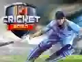 Gra Krykiet 2020 w Internecie Gra Krykiet 2020 w Internecie