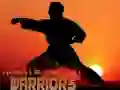 Gra Karate Wojownicy Zachodu Słońca w Internecie