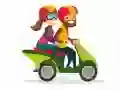 Gra Motocykle Znajdź Różnice w Internecie Gra Motocykle Znajdź Różnice w Internecie
