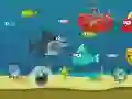 Gra Szaleniec Rekin w Internecie