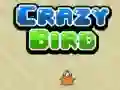Gra Szalony Ptak w Internecie