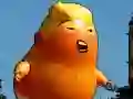 Gra Latająca Przygoda Trumpa w Internecie Gra Latająca Przygoda Trumpa w Internecie