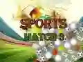Gra Sportowe Dopasowanie 3 Deluxe w Internecie Gra Sportowe Dopasowanie 3 Deluxe w Internecie